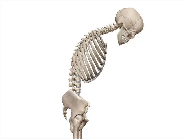 【新宮市の整体で腰痛治療なら】肩こりにも関係！脊椎の動きは連鎖してるんです！～腰椎編～